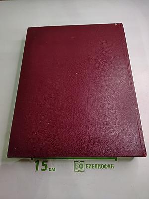 Большая Советская Энциклопедия. Том 10: Ива – Италики