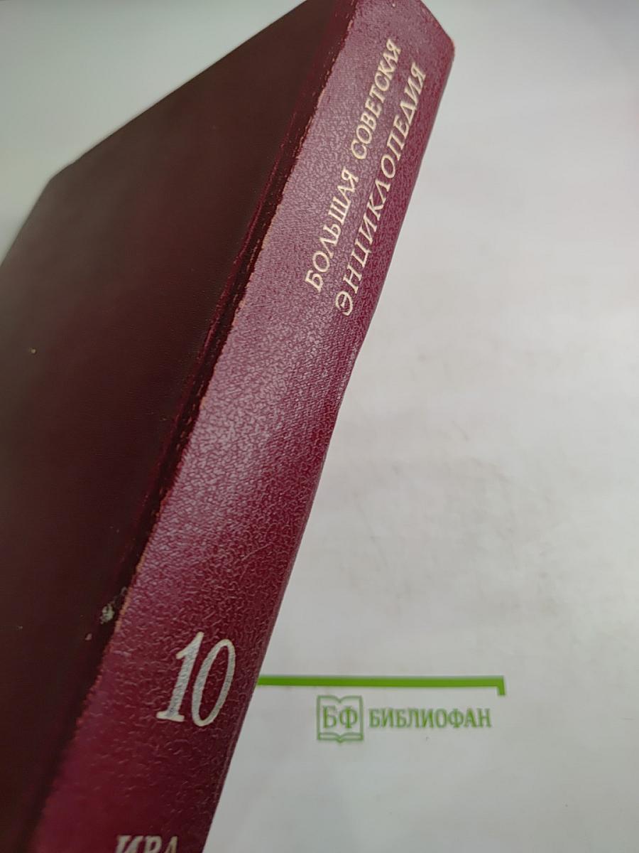 Большая Советская Энциклопедия. Том 10: Ива – Италики