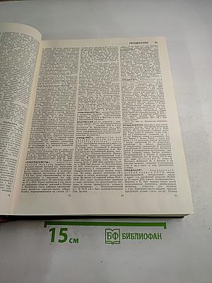 Большая Советская Энциклопедия. Том 21: Проба – Ременсы