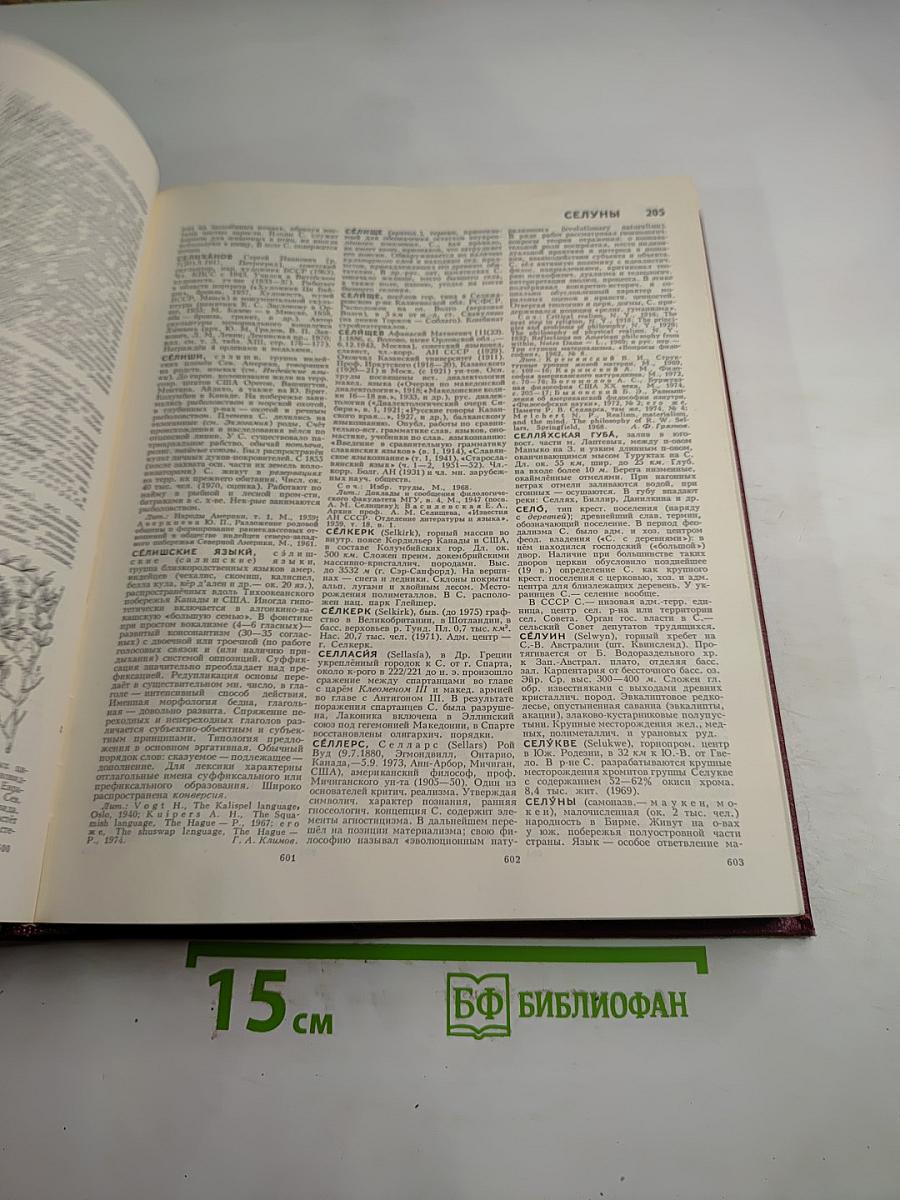 Большая Советская Энциклопедия. Том 23: Сафлор - Соан