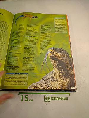 Книга рекордов Гиннесса 1999