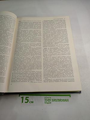 Экономическая энциклопедия. Политическая экономия. Том 4 (Социология-Я)