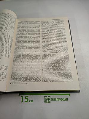 Экономическая энциклопедия. Политическая экономия. Том 4 (Социология-Я)