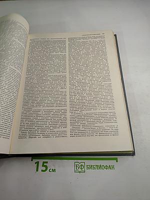 Экономическая энциклопедия. Политическая экономия. Том 4 (Социология-Я)
