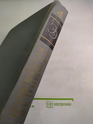 Экономическая энциклопедия. Политическая экономия. Том 4 (Социология-Я)