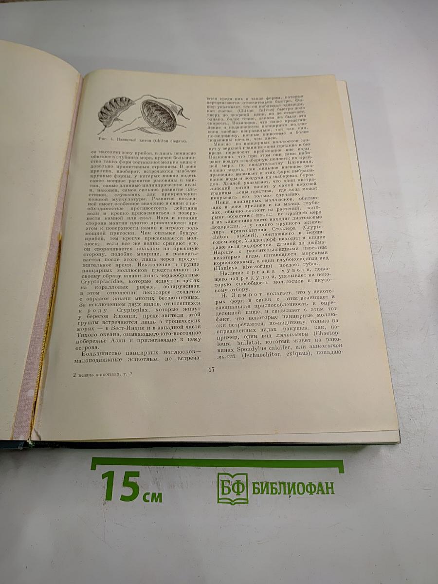 Жизнь животных. Беспозвоночные. Том 2