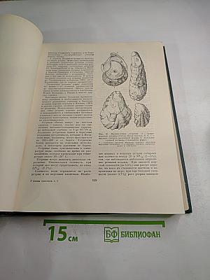 Жизнь животных. Беспозвоночные. Том 2