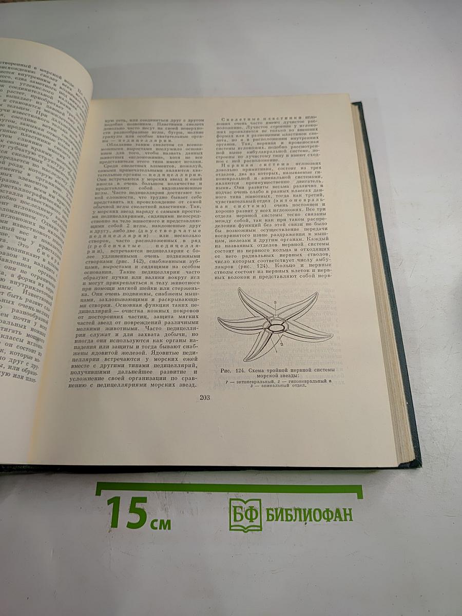 Жизнь животных. Беспозвоночные. Том 2