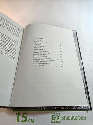 Связь времен