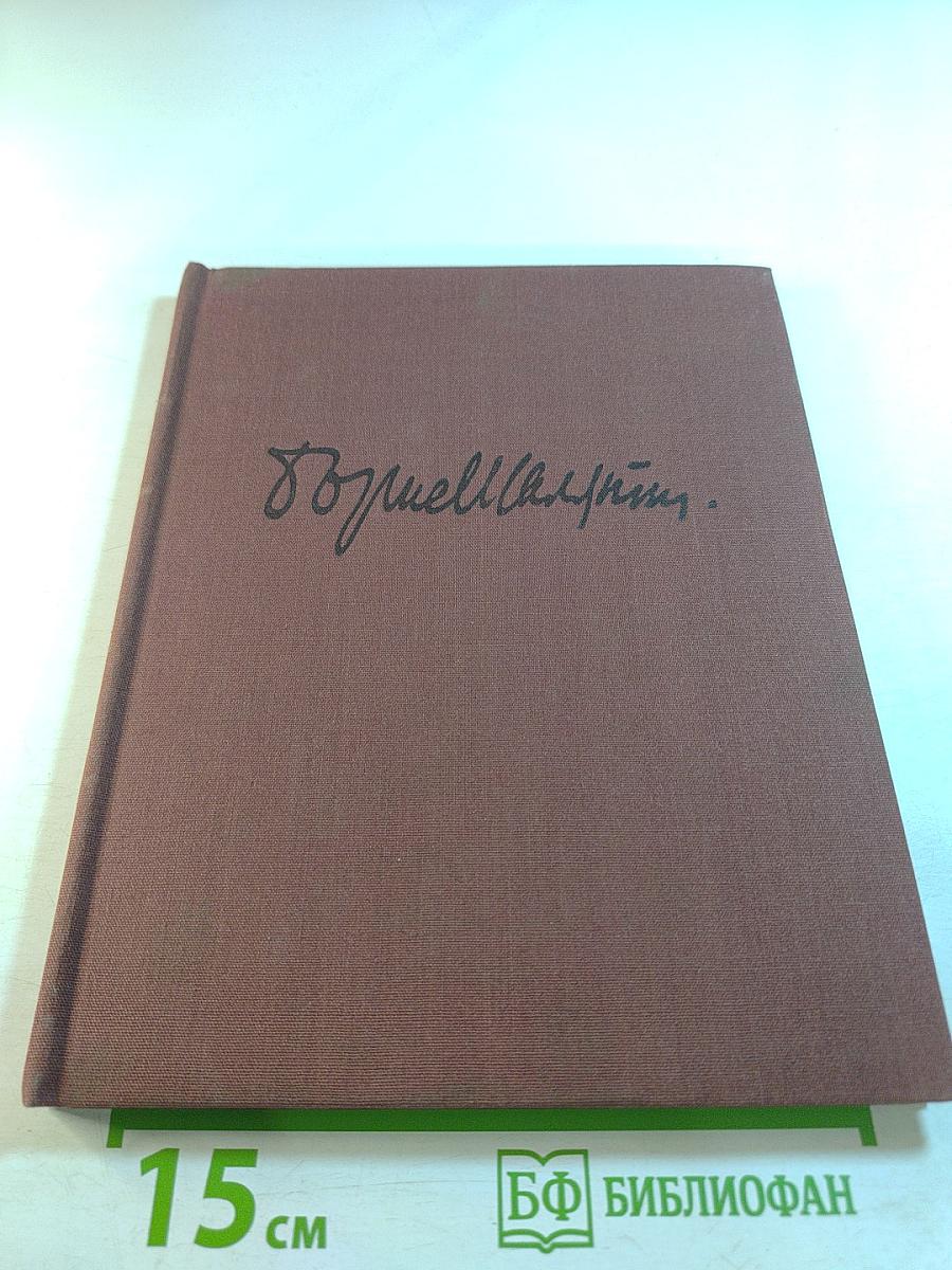 Художник Борис Шаляпин