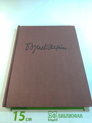 Художник Борис Шаляпин