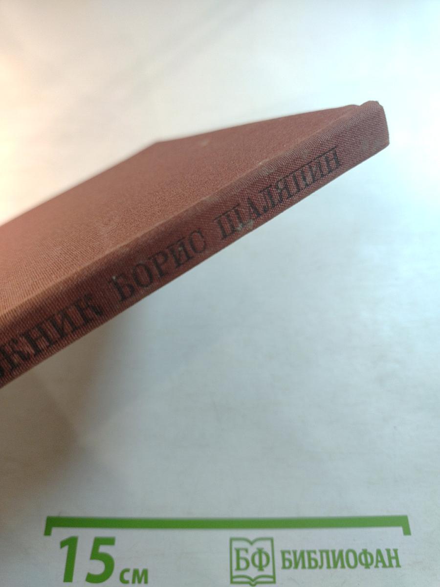 Художник Борис Шаляпин