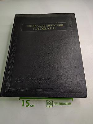 Энциклопедический словарь. А–Й