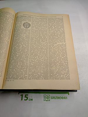 Энциклопедический словарь. А–Й