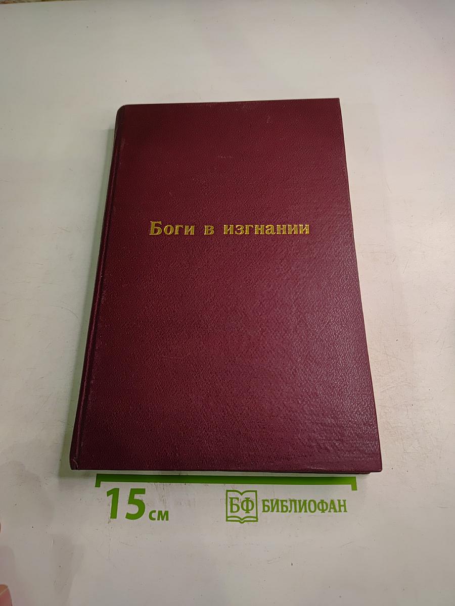 Боги в изгнании. Огненные предзимье