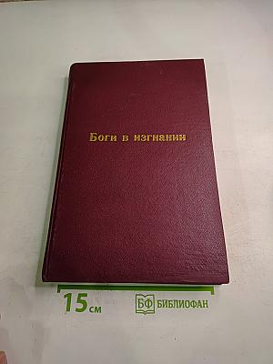 Боги в изгнании. Огненные предзимье