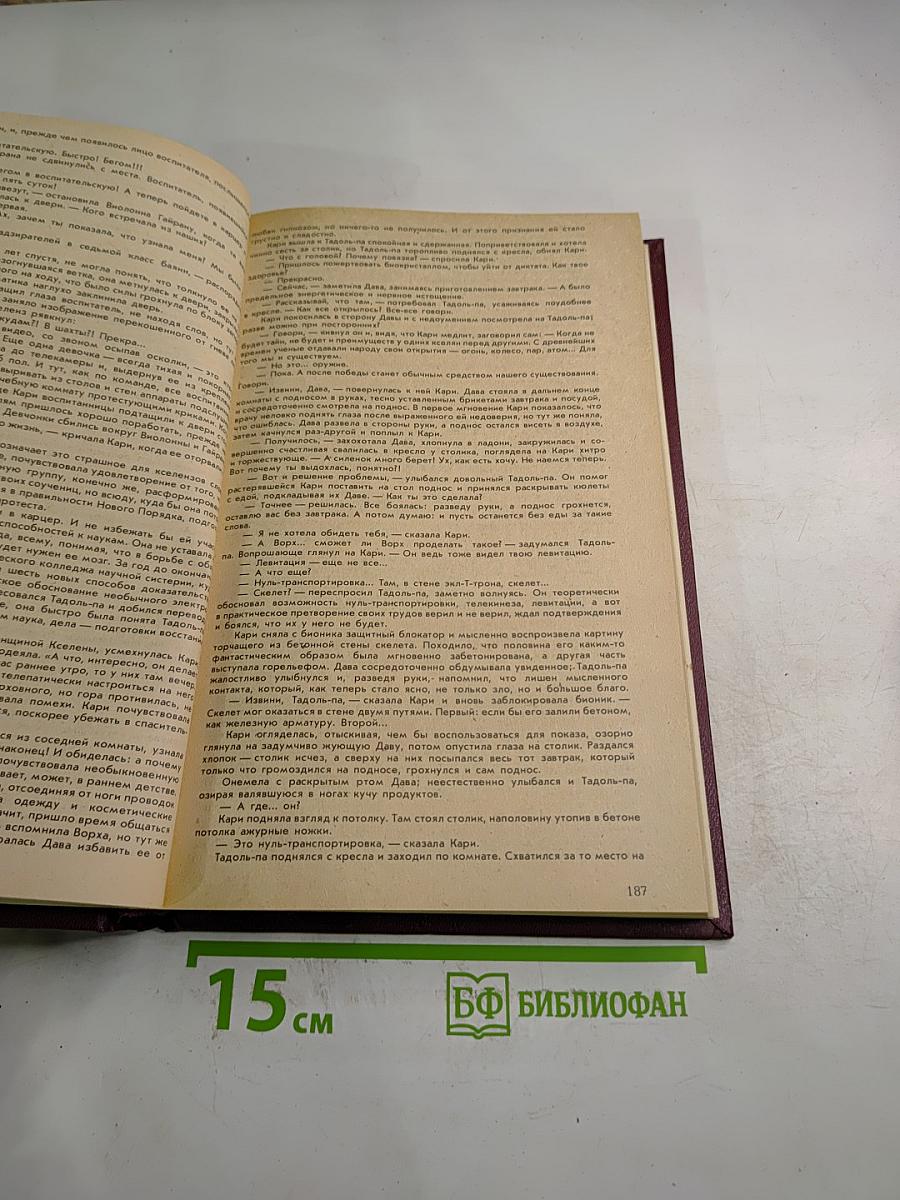 Боги в изгнании. Огненные предзимье