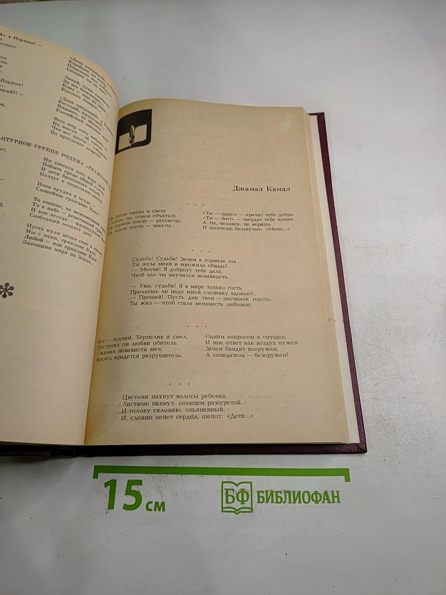 Боги в изгнании. Огненные предзимье