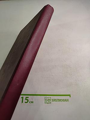 Боги в изгнании. Огненные предзимье