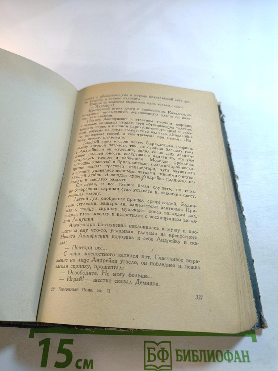 Каменный пояс. Книга вторая. Наследники