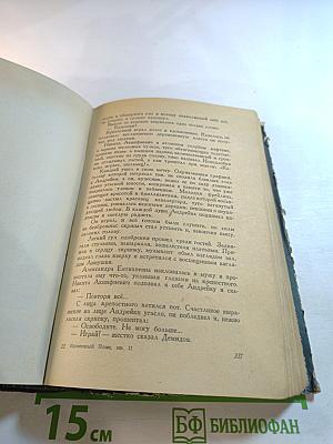 Каменный пояс. Книга вторая. Наследники