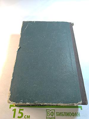 Каменный пояс. Книга вторая. Наследники