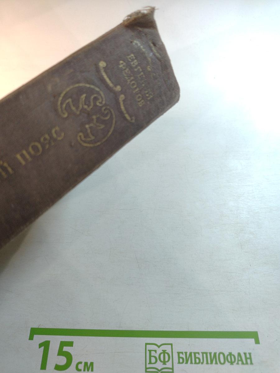 Каменный пояс. Книга вторая. Наследники