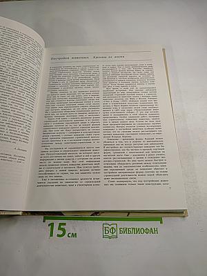 Животные строят