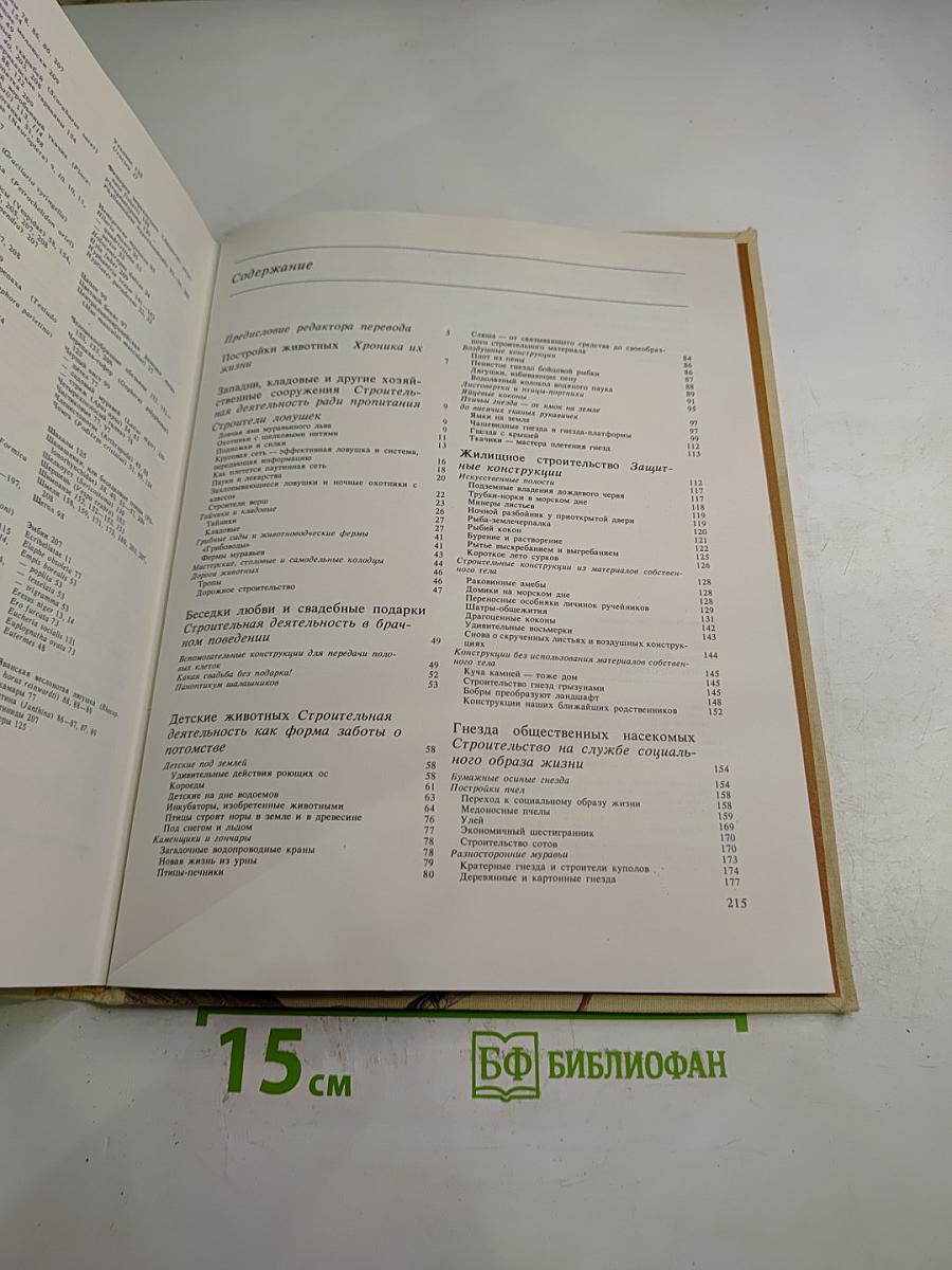 Животные строят