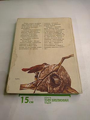 Животные строят