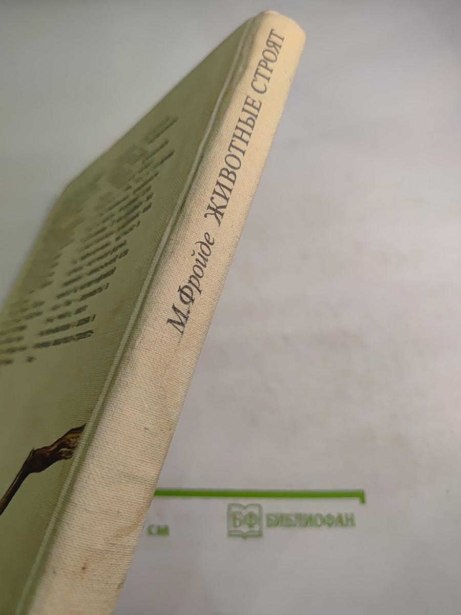 Животные строят