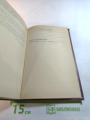 Семнадцать мгновений весны