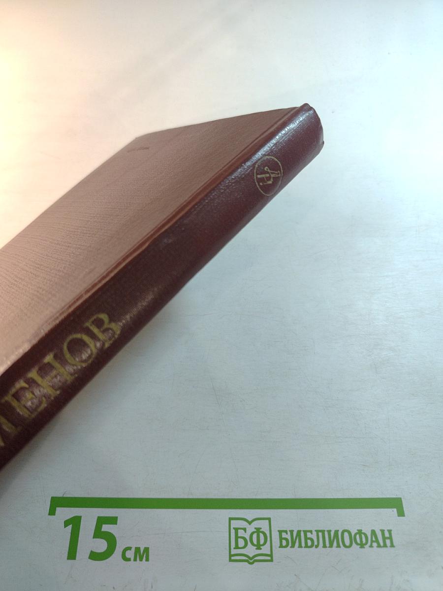 Семнадцать мгновений весны