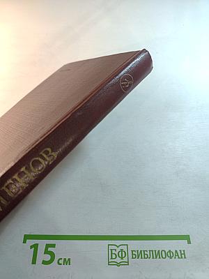 Семнадцать мгновений весны