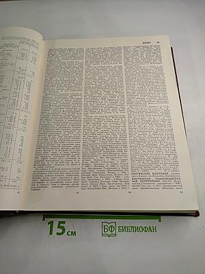 Большая Советская Энциклопедия. Том 4: Брасос – Веш