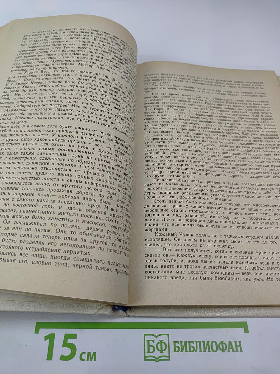 Пионеры, или У истоков Саскуиханны