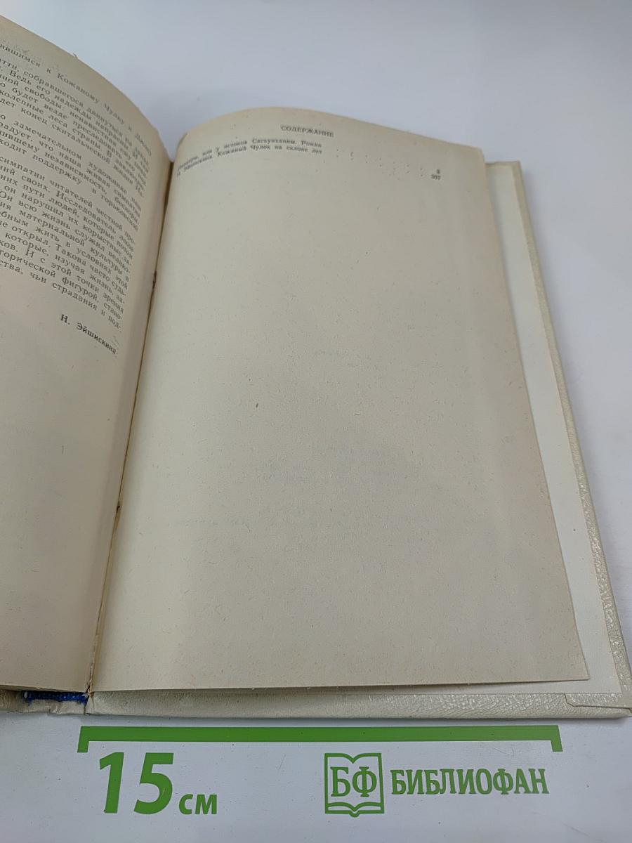 Пионеры, или У истоков Саскуиханны