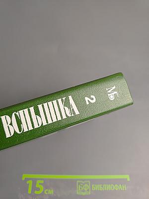 Вспышка. Книга вторая