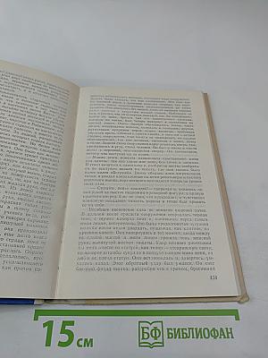 Бегущая по волнам. Золотая цепь