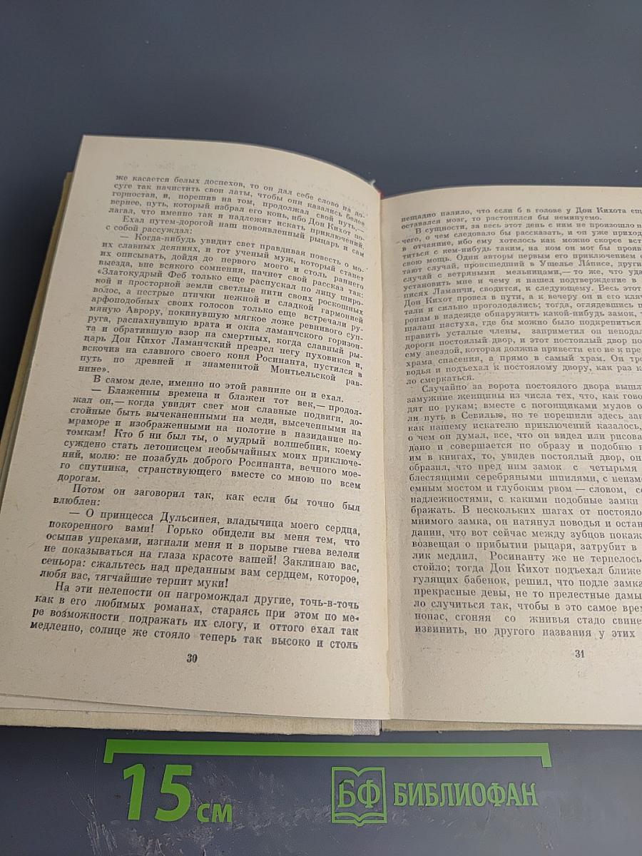 Хитроумный идальго Дон Кихот Ламанчский. Часть I