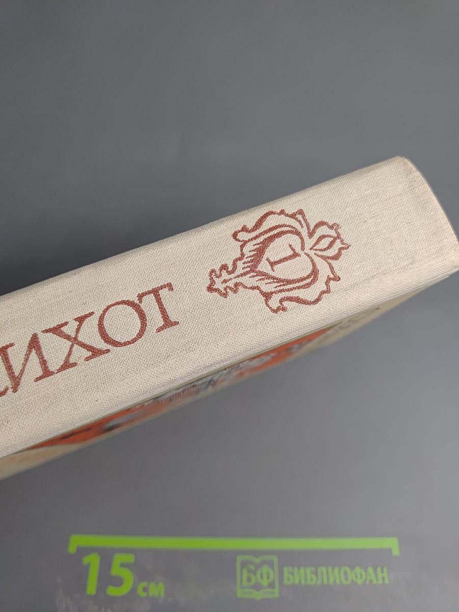 Хитроумный идальго Дон Кихот Ламанчский. Часть I