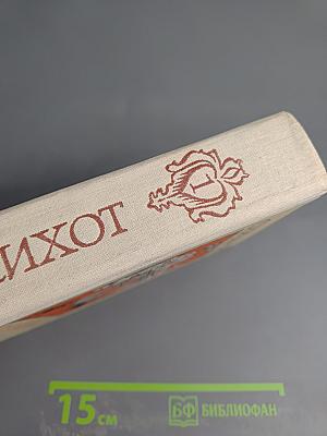 Хитроумный идальго Дон Кихот Ламанчский. Часть I