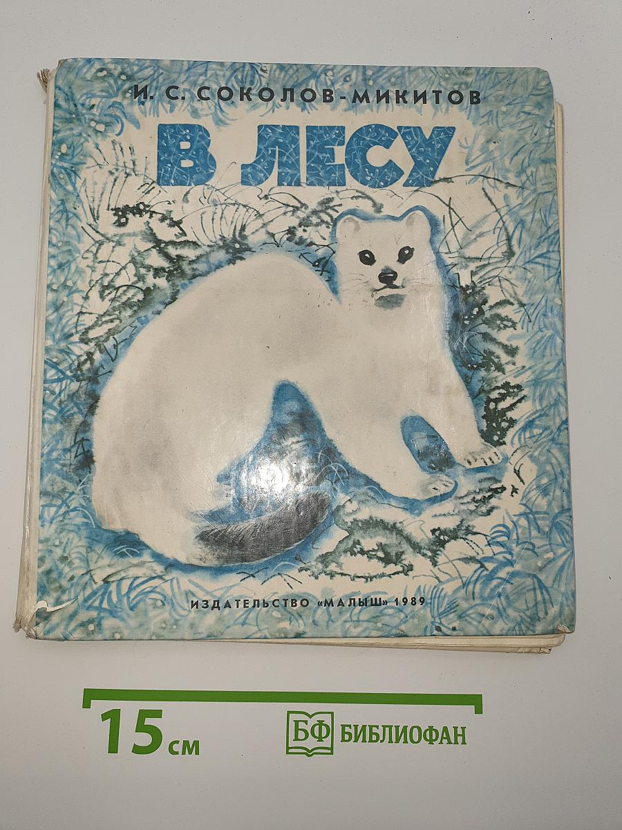 В Лесу