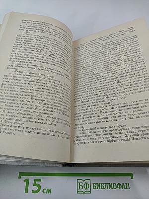 Виконт де Бражелон, или Десять лет спустя. Части 3, 4