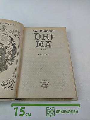 Анж Питу. Том IV