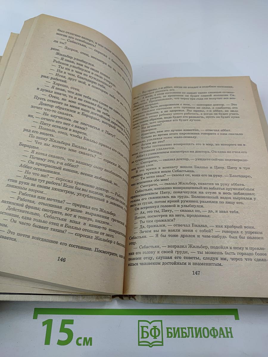 Анж Питу. Том IV