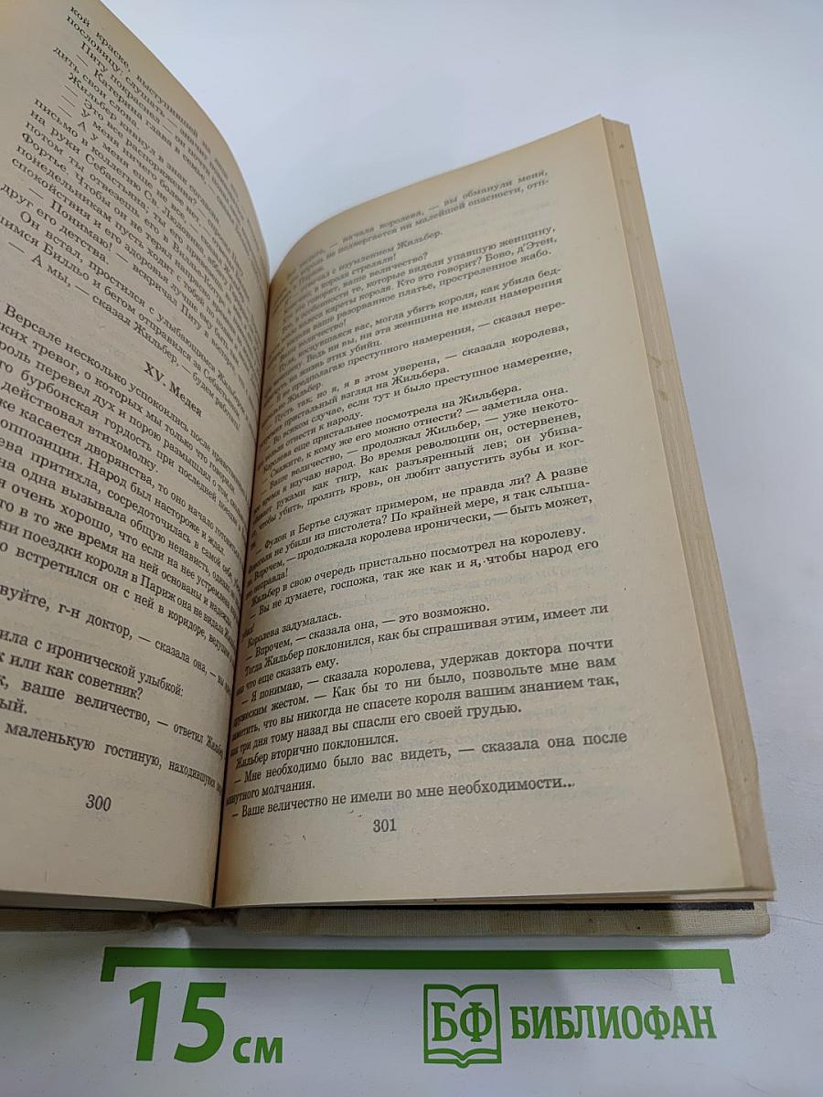 Анж Питу. Том IV