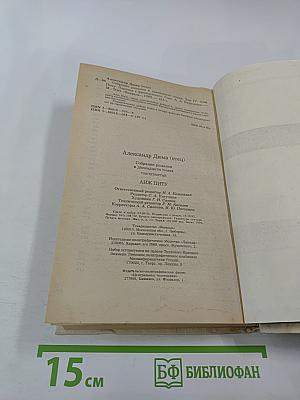 Анж Питу. Том IV