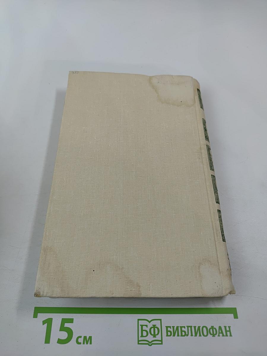 Анж Питу. Том IV