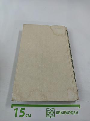 Анж Питу. Том IV